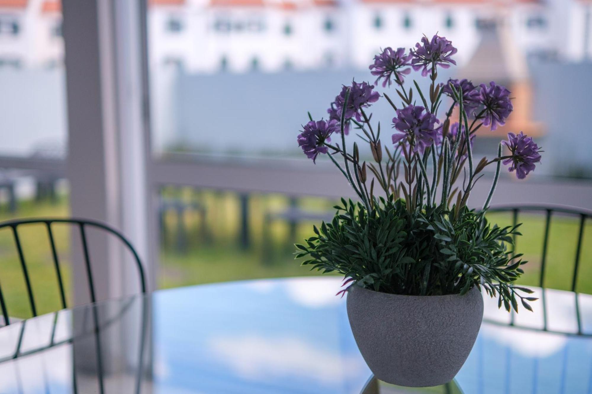 Areal De Santa Barbara Guest House Рибейра-Гранди Экстерьер фото